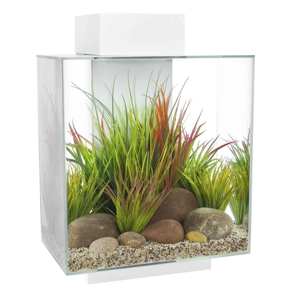 Fluval Edge