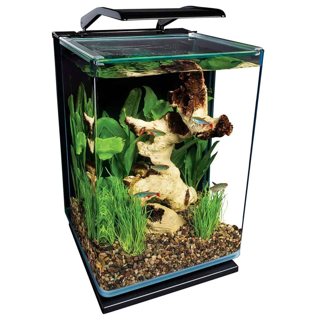 Marineland 5 Gallon Aquarium