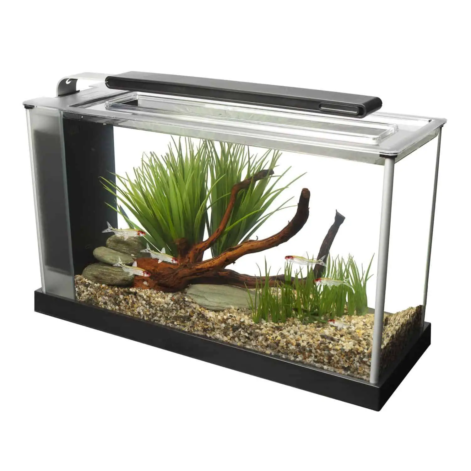 5 Gallon Fish Tank – The Perfect Nano Aquarium Size