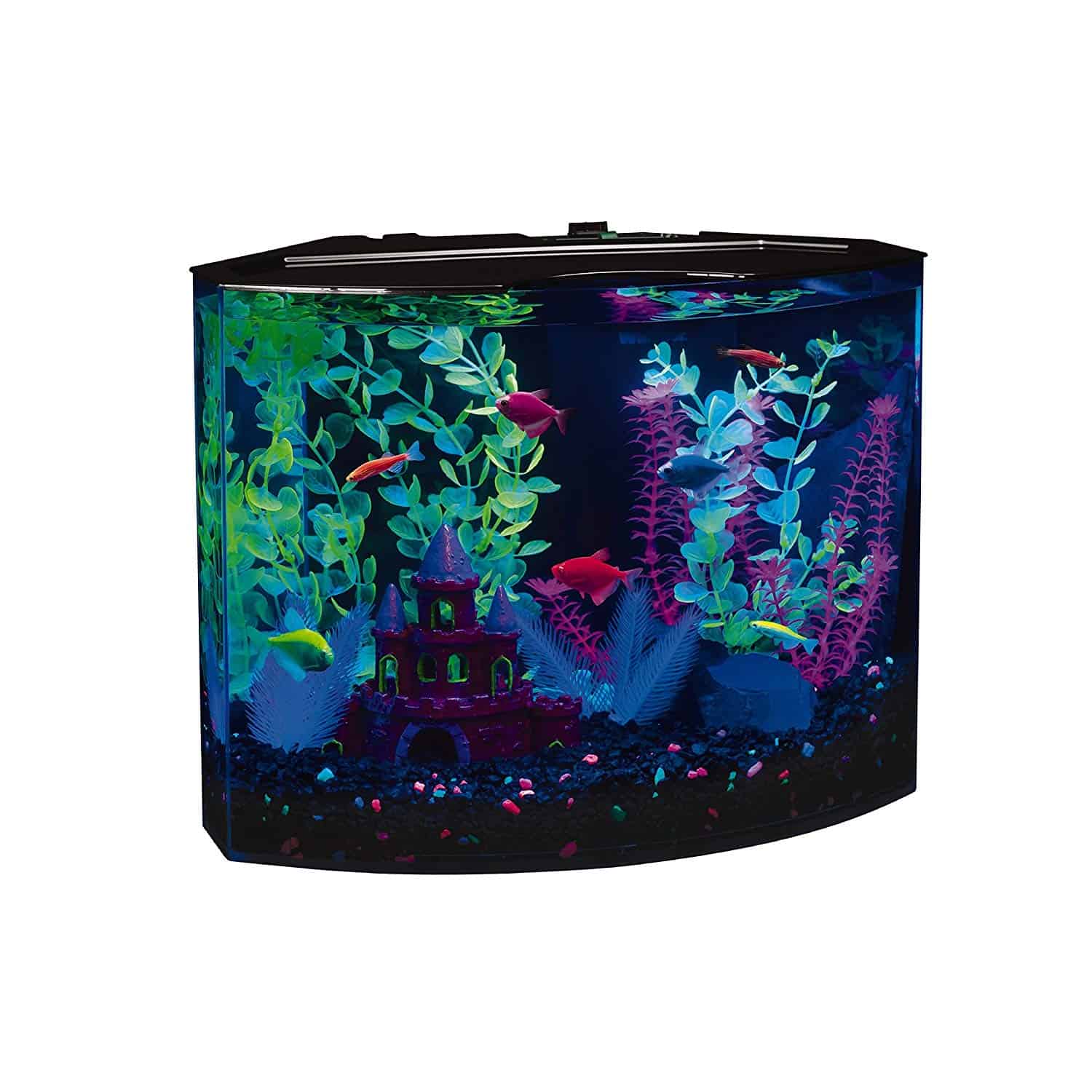 5 Gallon Fish Tank – The Perfect Nano Aquarium Size