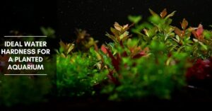 Ideal Water Hardness for a Planted Aquarium (KH & GH) - Planted Nano Tanks