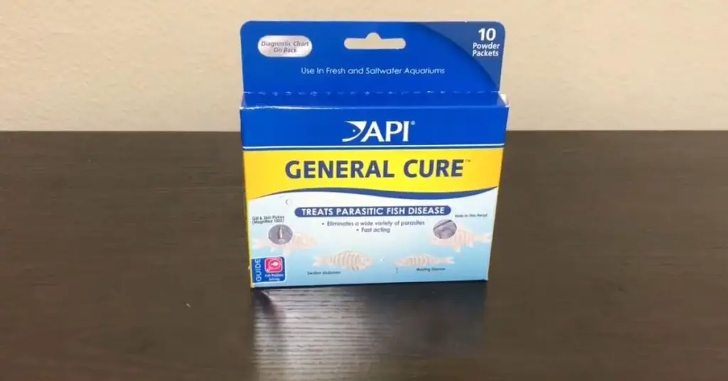 API Fin and Body Cure