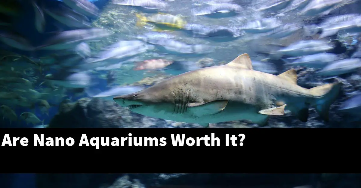 Are Nano Aquariums Worth It?