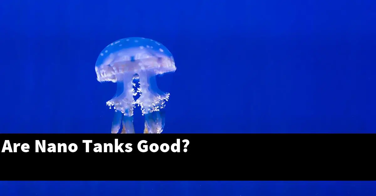 Are Nano Tanks Good?