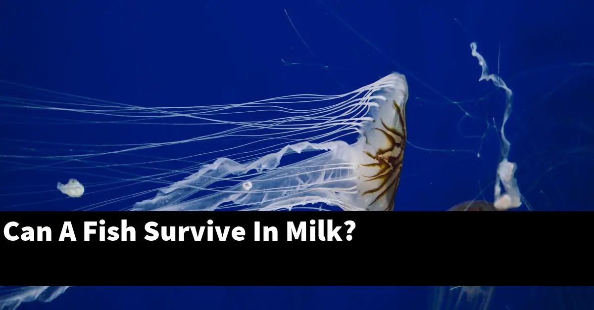 Can A Fish Survive In Milk?