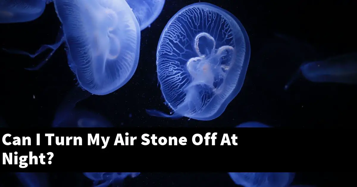 Can I Turn My Air Stone Off At Night?