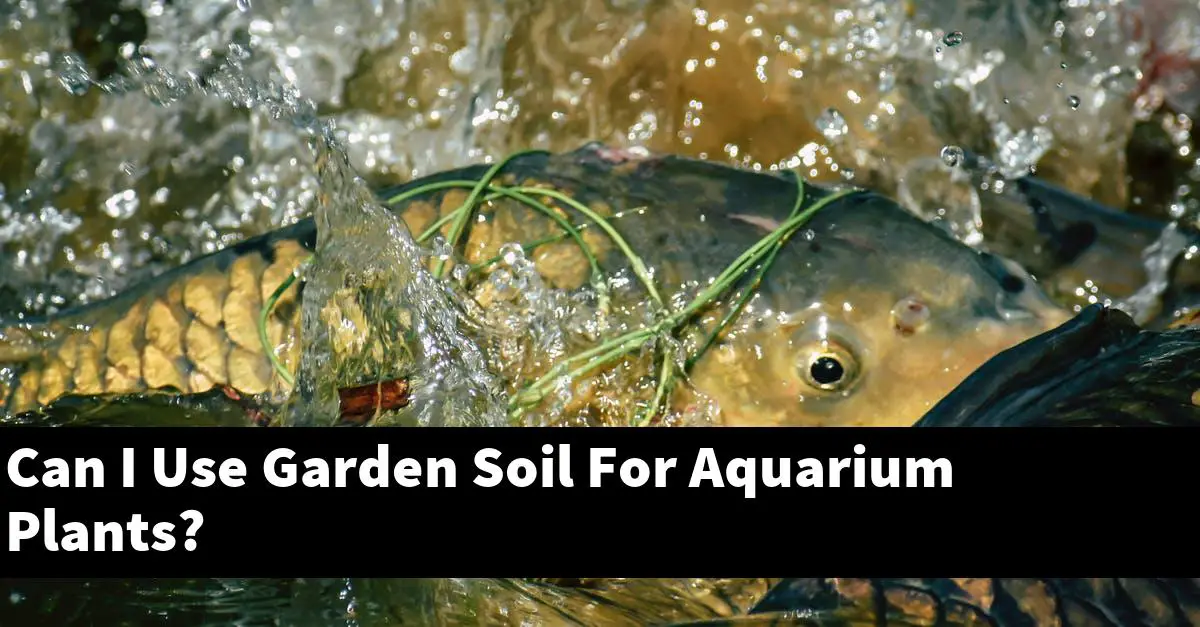 Can I Use Garden Soil For Aquarium Plants?