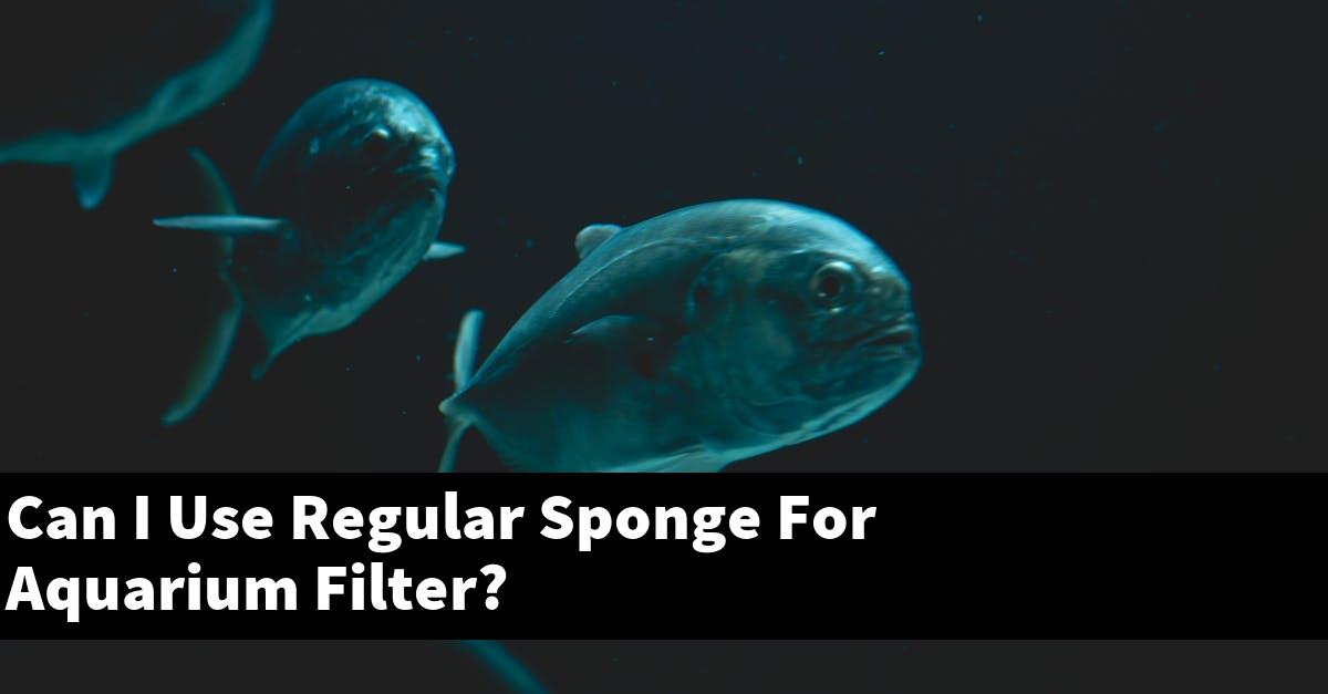 Can I Use Regular Sponge For Aquarium Filter? - Planted Nano Tanks