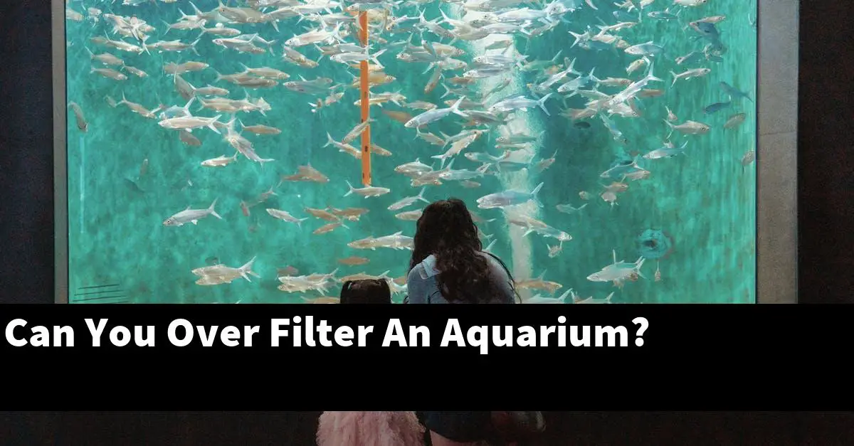 Can You Over Filter An Aquarium?