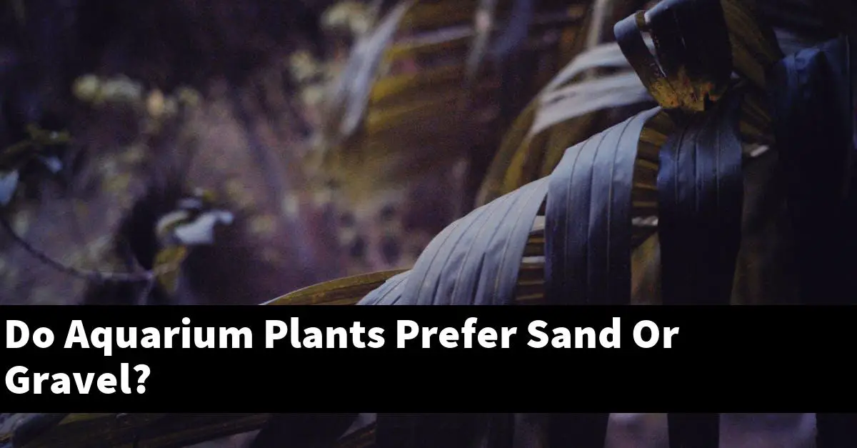 Do Aquarium Plants Prefer Sand Or Gravel?