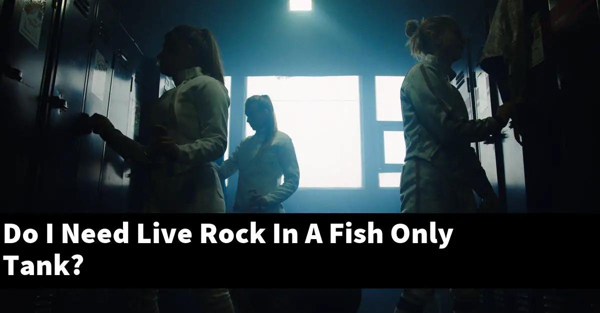 Do I Need Live Rock In A Fish Only Tank?