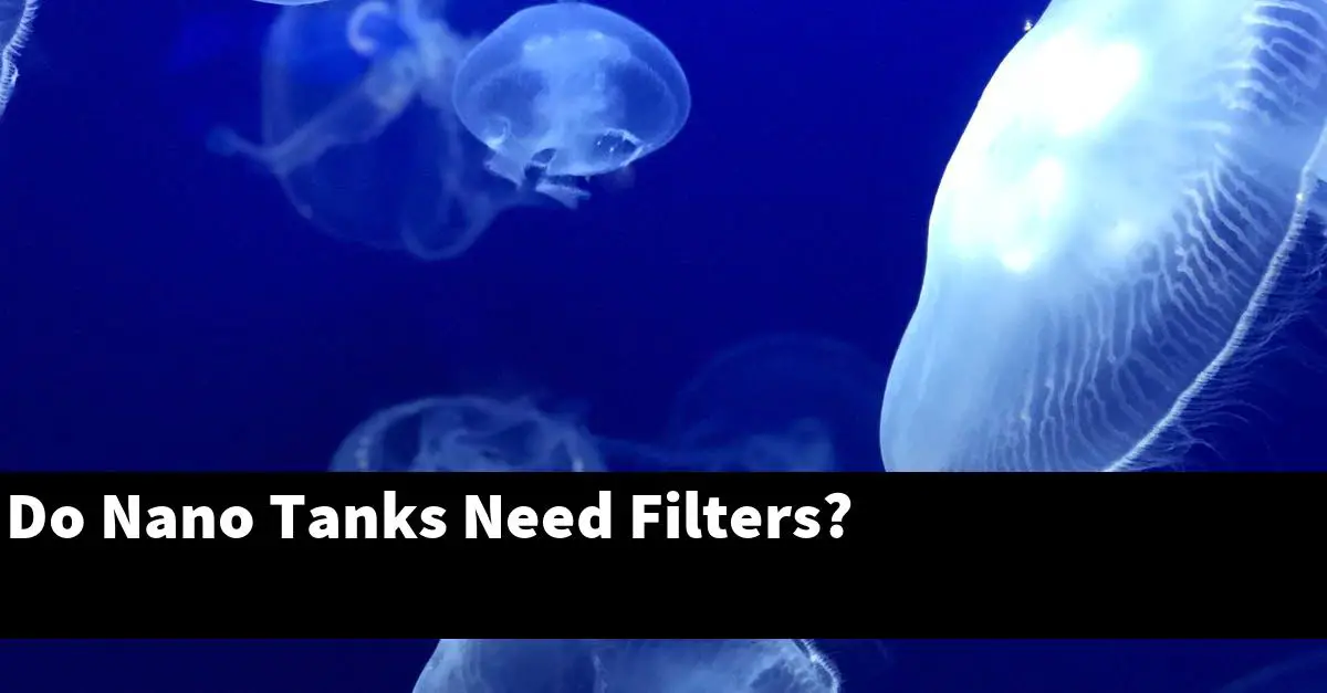 Do Nano Tanks Need Filters?