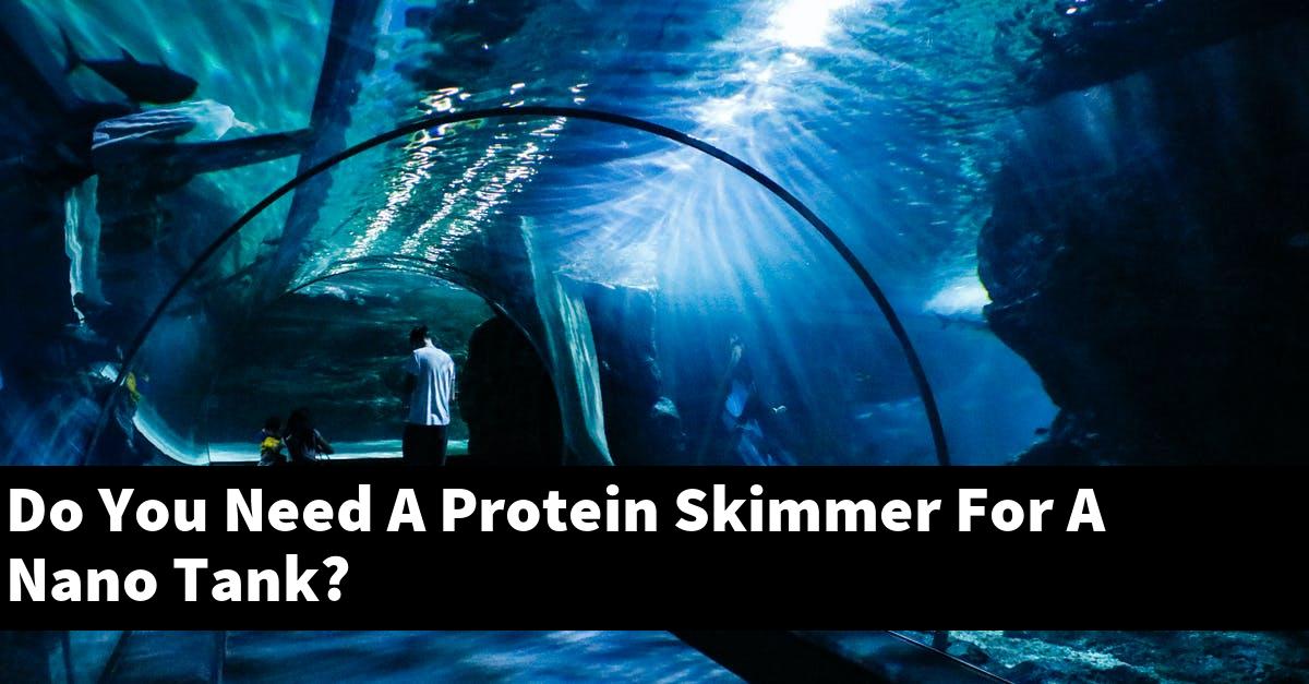 Do You Need A Protein Skimmer For A Nano Tank?