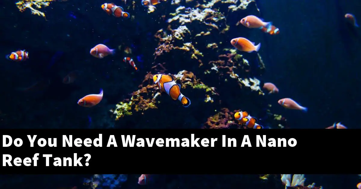 Do You Need A Wavemaker In A Nano Reef Tank?