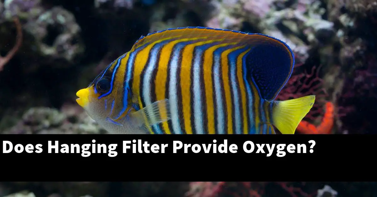 Does Hanging Filter Provide Oxygen?