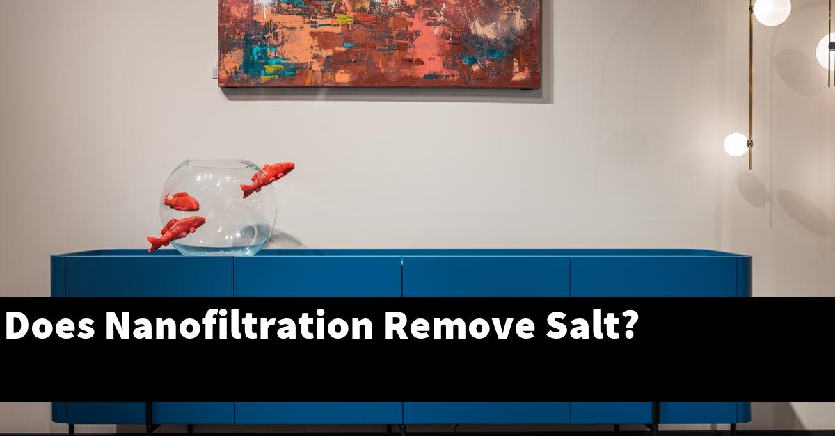 Does Nanofiltration Remove Salt?