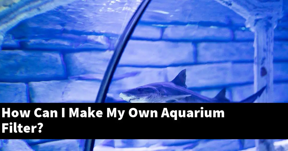 How Can I Make My Own Aquarium Filter?