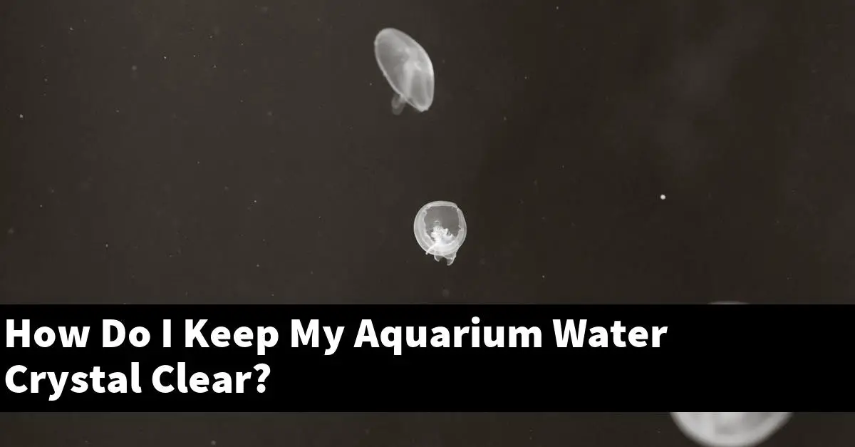 How Do I Keep My Aquarium Water Crystal Clear?