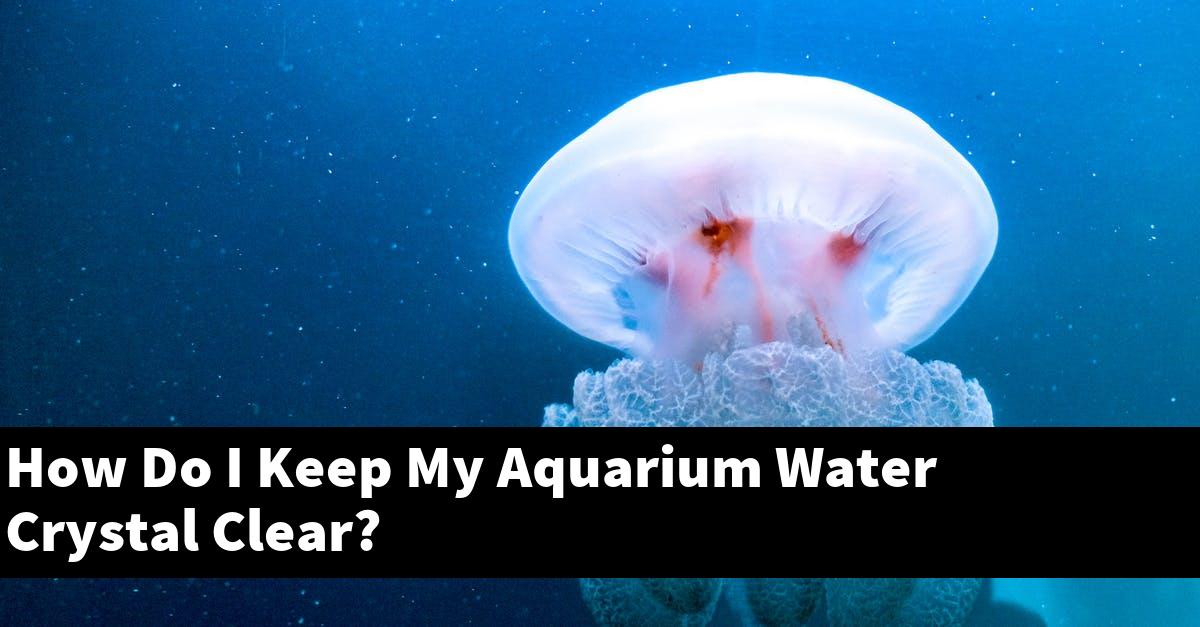 How Do I Keep My Aquarium Water Crystal Clear?