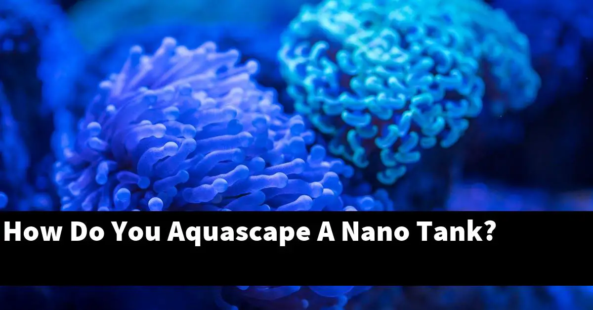How Do You Aquascape A Nano Tank?