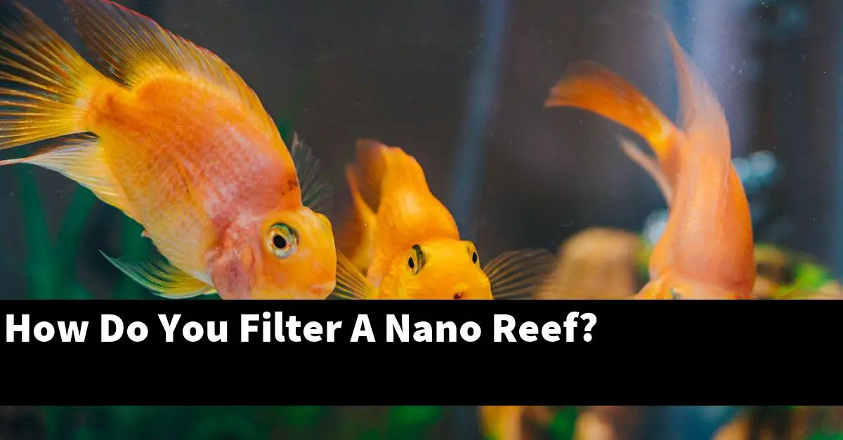 How Do You Filter A Nano Reef?