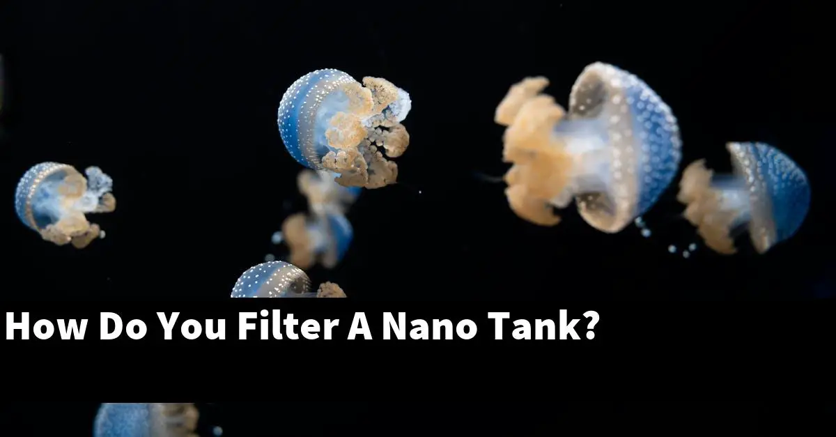 How Do You Filter A Nano Tank?
