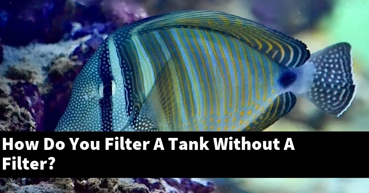 How Do You Filter A Tank Without A Filter?