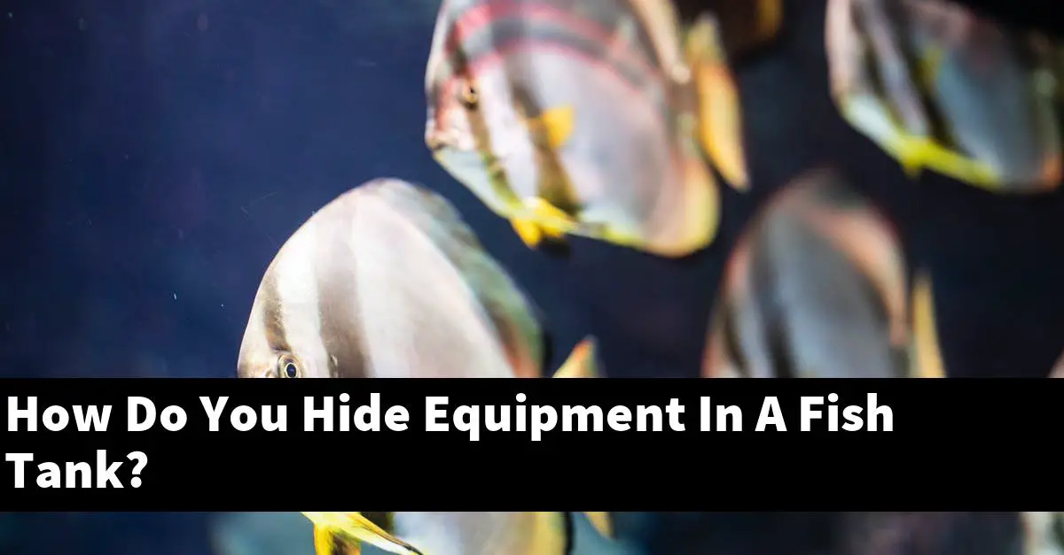 How Do You Hide Equipment In A Fish Tank?