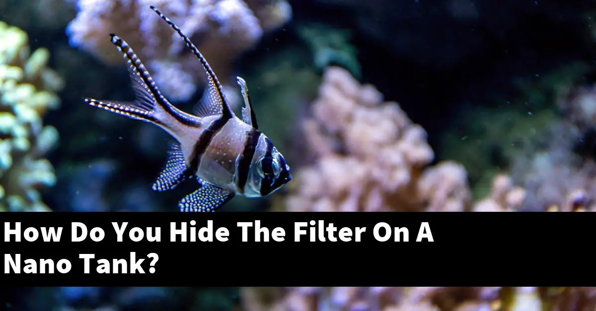 How Do You Hide The Filter On A Nano Tank?