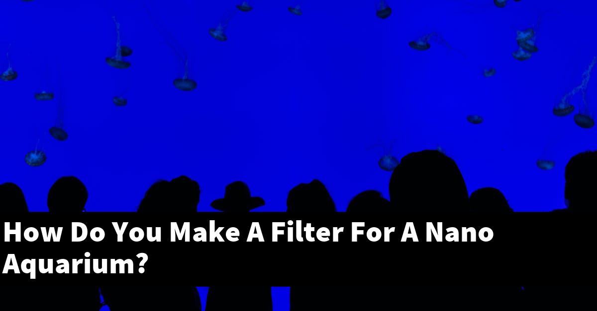 How Do You Make A Filter For A Nano Aquarium?