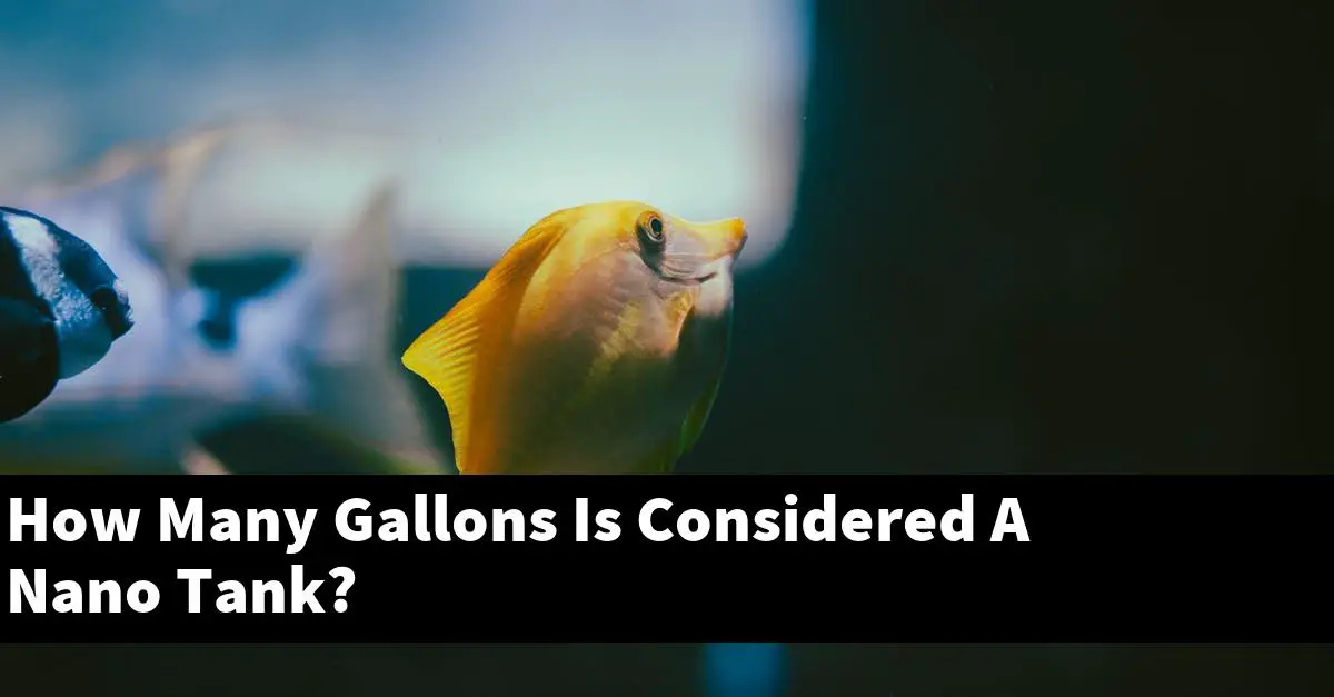 How Many Gallons Is Considered A Nano Tank?