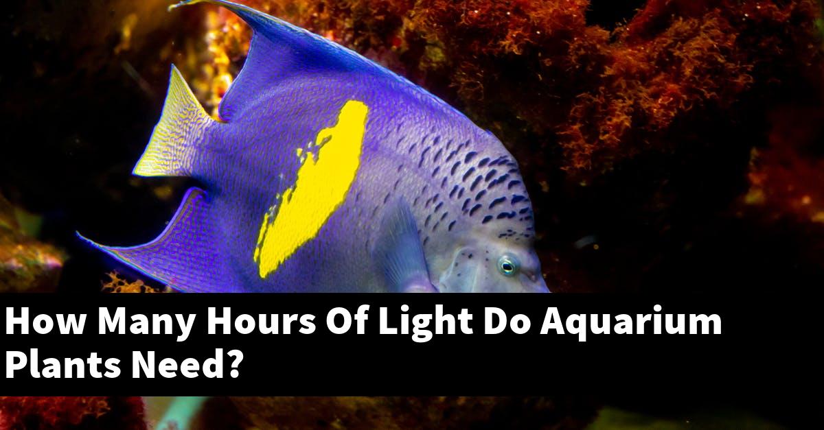 How Many Hours Of Light Do Aquarium Plants Need?