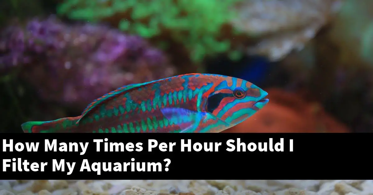 How Many Times Per Hour Should I Filter My Aquarium?
