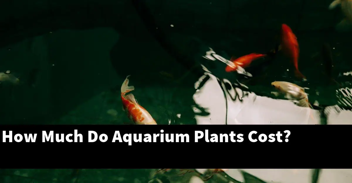 How Much Do Aquarium Plants Cost?