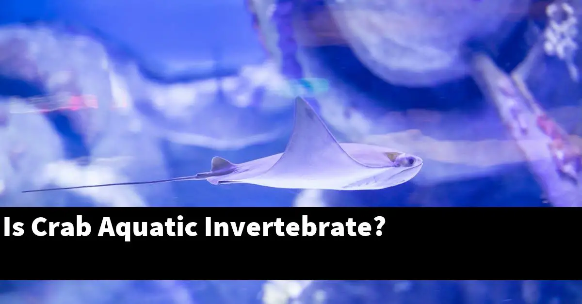 Is Crab Aquatic Invertebrate?