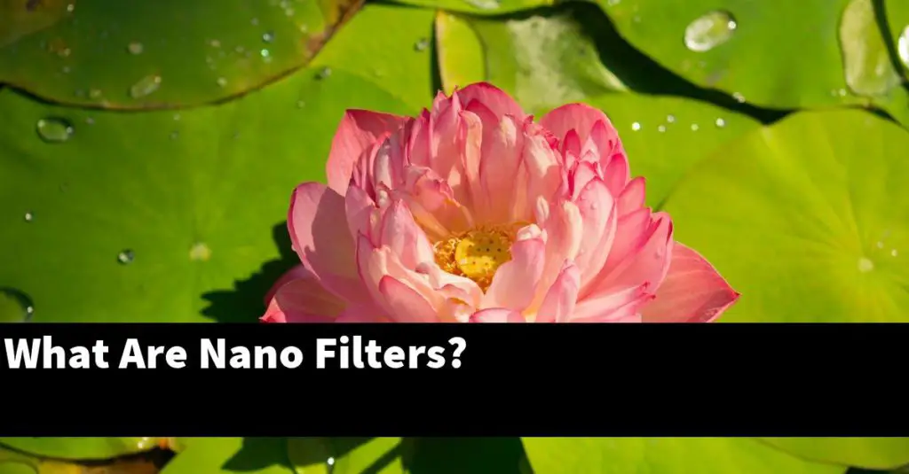 What Are Nano Filters? Planted Nano Tanks
