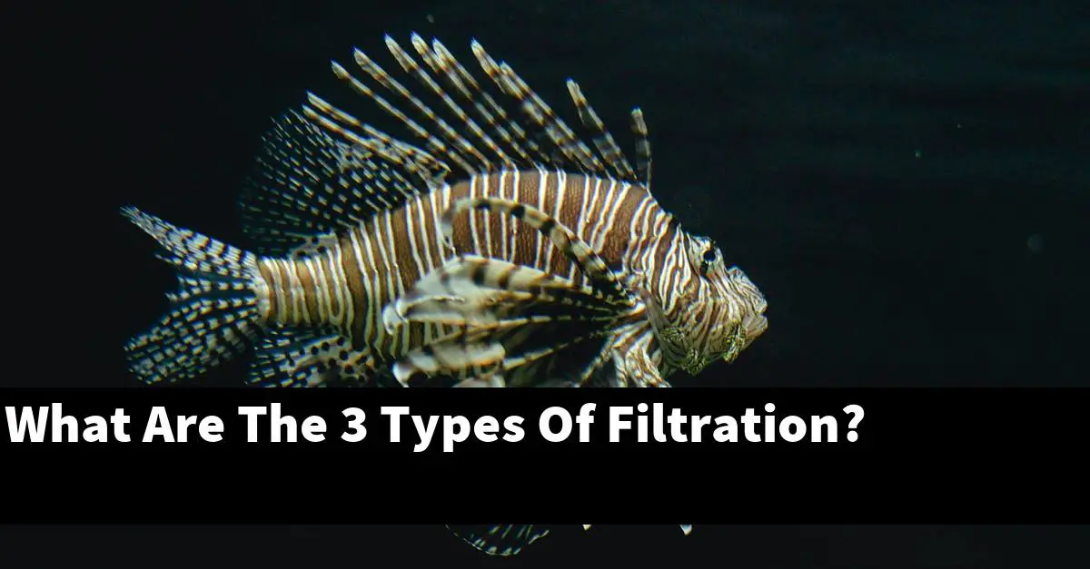What Are The 3 Types Of Filtration?