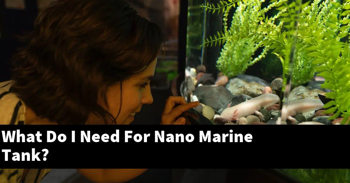 What Do I Need For Nano Marine Tank?