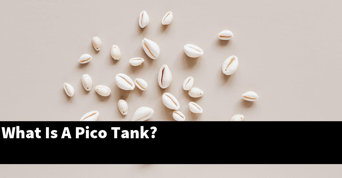 What Is A Pico Tank?