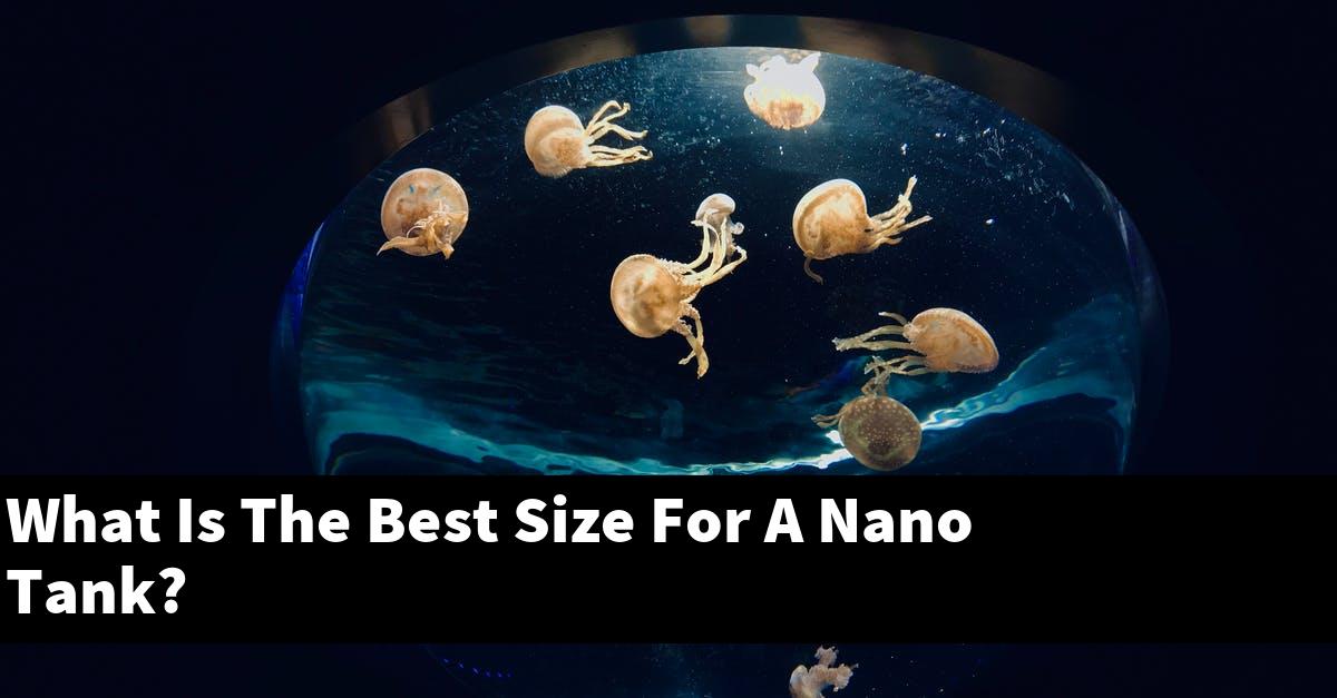 What Is The Best Size For A Nano Tank?