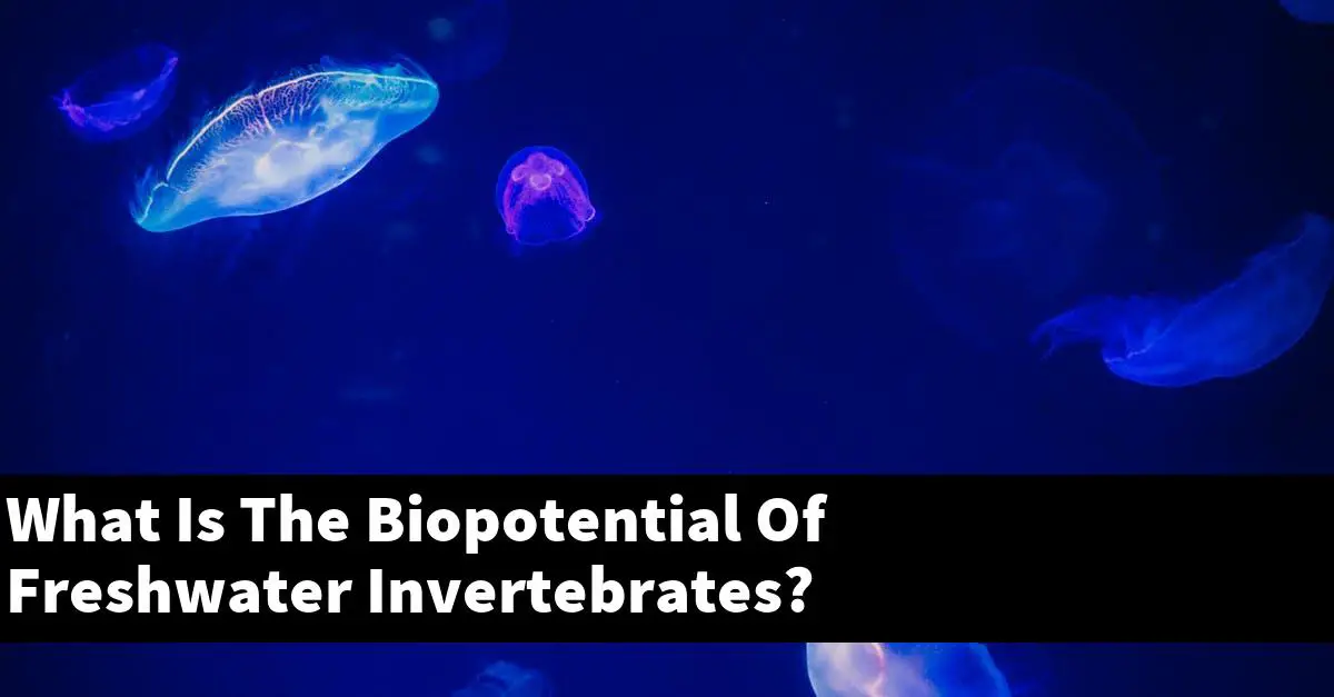 What Is The Biopotential Of Freshwater Invertebrates?
