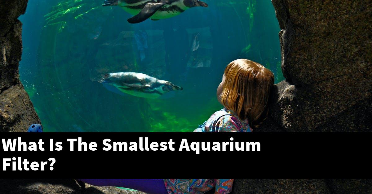 What Is The Smallest Aquarium Filter?