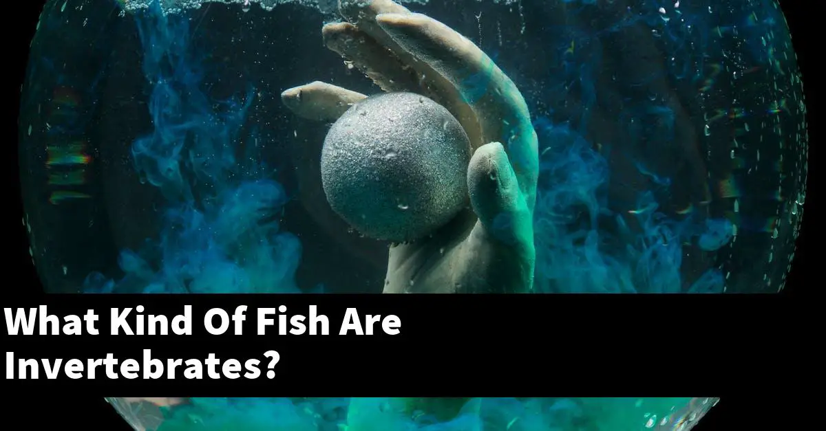 What Kind Of Fish Are Invertebrates?