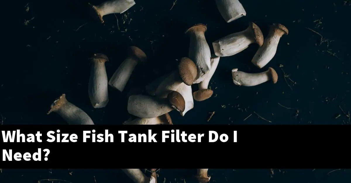 What Size Fish Tank Filter Do I Need?