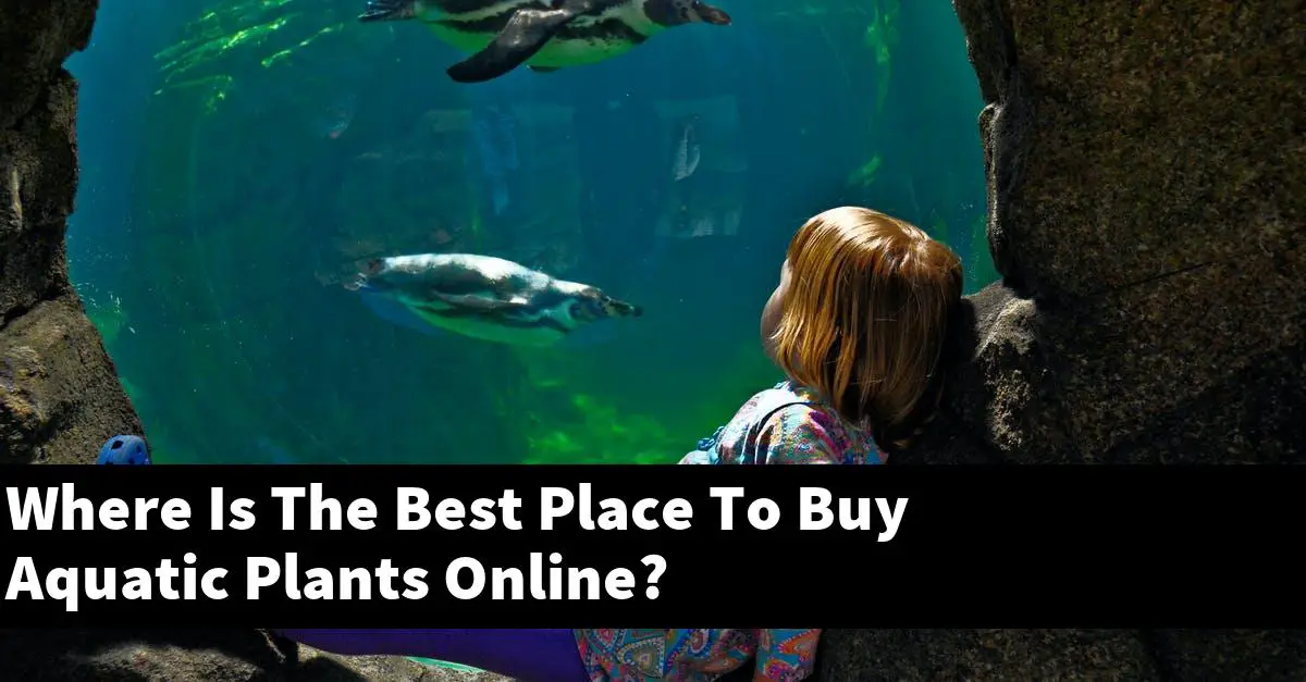 Where Is The Best Place To Buy Aquatic Plants Online?