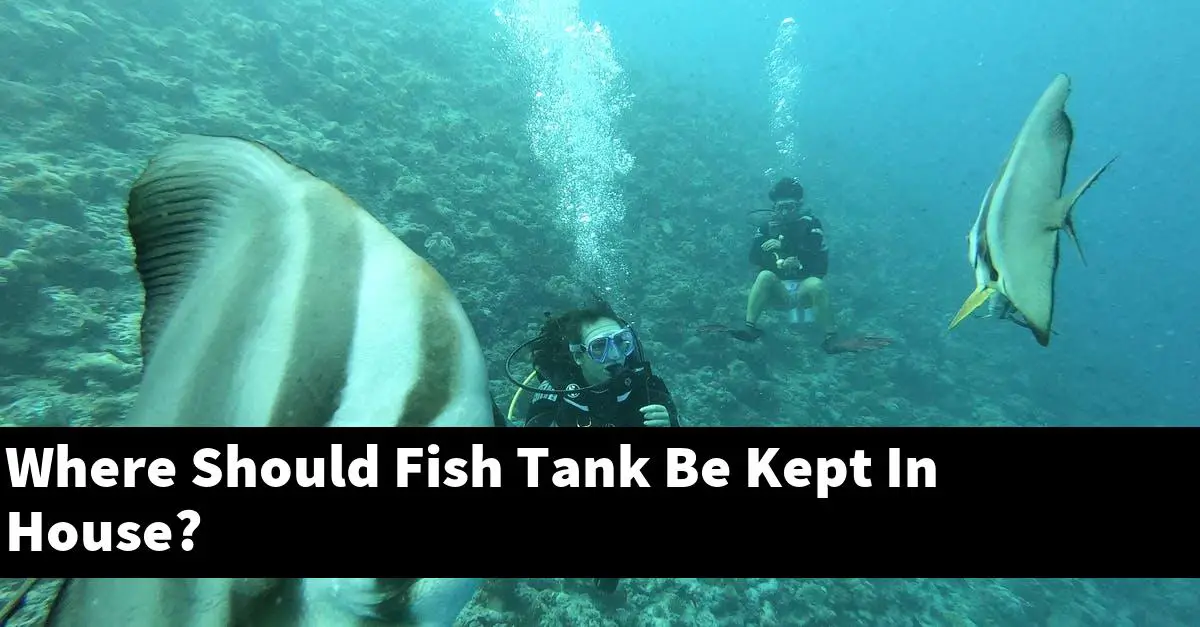 Where Should Fish Tank Be Kept In House?