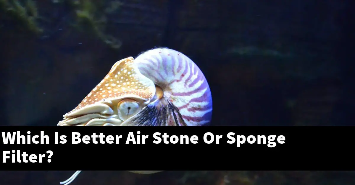 Which Is Better Air Stone Or Sponge Filter?